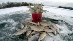 ловля рыбы зимой