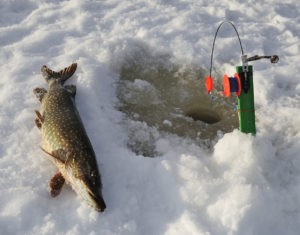 ловля рыбы зимой в январе