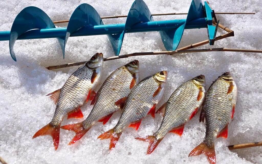 Какие снасти необходимы для зимней рыбалки?