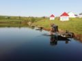 Чистые пруды в селе Гремячье Хохольского района Воронежской области